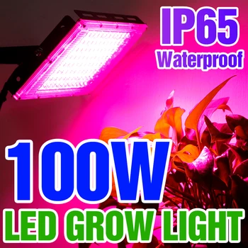 LED Phytolamp Täieliku Spektri Taimede Lamp, 220V Kasvu Kerge 50W 100W Siseruumides Seemikud Lill Hydroponics LED Füto UV-Lambid